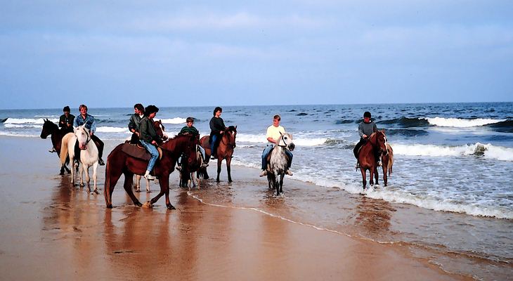 Reiten im Hinterland und an der Küste