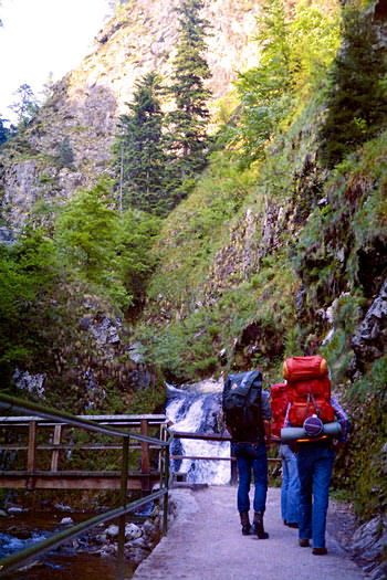 Quer durch den Schwarzwald, über Stock und Stein