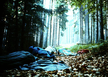 Kurz vor Calw auf einem Waldweg bernachtet.