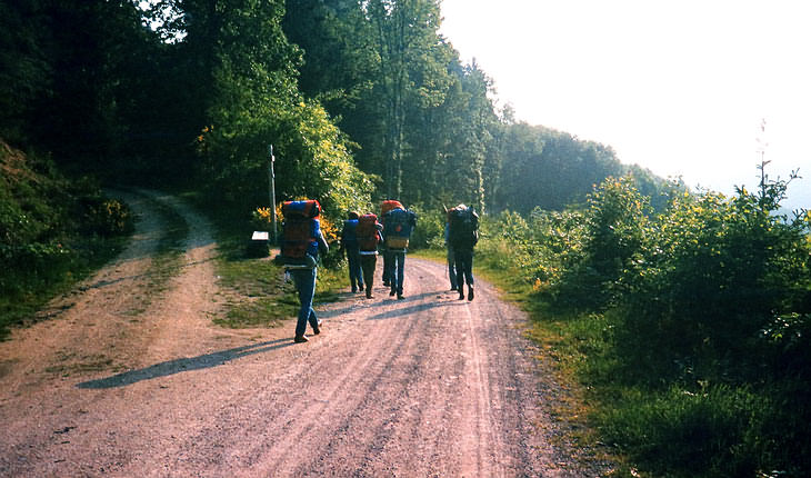 Offenburg Calw: Wanderung quer durch den Schwarzwald