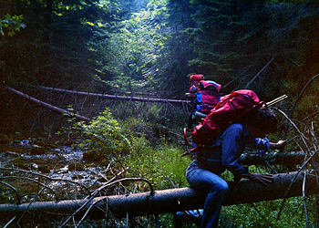 Quer durch den Wald, ber Stock und Stein, Bume und Bche.